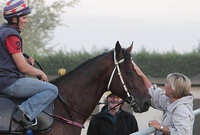 Horse owners search for trainers